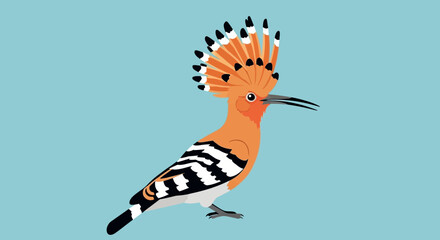 Hoopoe Bird Illustration with Crest and Striped Wings on Blue Background © Tisa