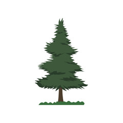 Obraz premium Stylized Green Pine Tree Illustration. Minimal Green Pine Tree Graphic. Green Pine Tree Artwork. Simple Evergreen Tree Illustration