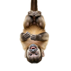 Cute hanging plush toy resembling a small monkey or primate with a smiling face.