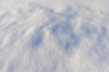 Obraz premium large deep fresh snowdrifts of white color in the field during the winter season, large soft snowdrifts after large snowfalls in sunny weather, snow structure