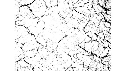Fototapeta premium Intricate network of fine black lines on a white background, abstract texture