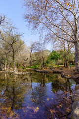 Wading pool, in Tel Dan Nature Reserve