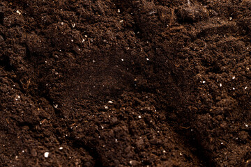 details of black fertile soil mixed with peat and chernozem to improve crop quality,soil for mixing with less fertile land for agriculture