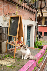 Colorful Streets of Balat District in Istanbul, Turkey