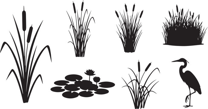 Wetland Flora and Fauna Silhouettes: Cattails, Water Lilies, and Heron Isolated on white background