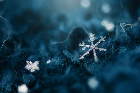 Extreme Close-up of a Freshly fallen Snowflake