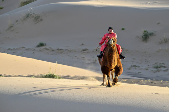 Man riding Bactrian camel in traditional clothing in the Gobi Desert