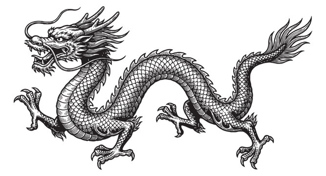Traditional Chinese imperial dragon in motion with scales and whiskers vintage oriental engraving style.