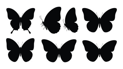 A collection of eight distinct black butterfly silhouettes arranged in a row. isolated on white background, Vector © MDRaisul