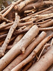 pile of logs