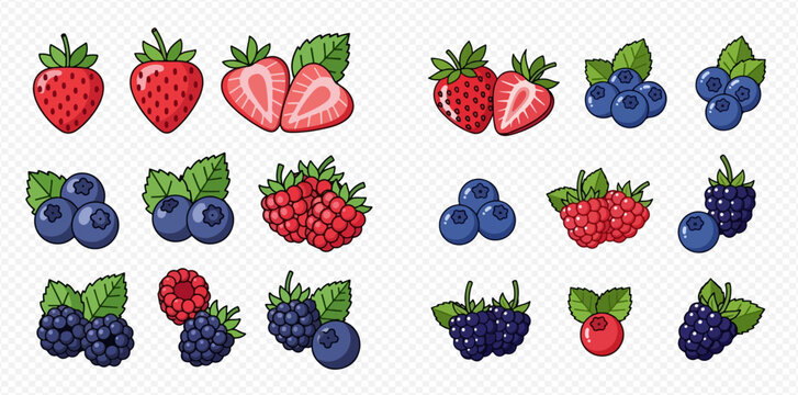 Collection of various fresh berries including strawberries, blueberries, raspberries, and blackberries in cartoon style.