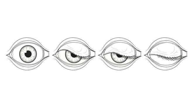 Sequence of Eye Blinking and Squinting, Close-up Sketch