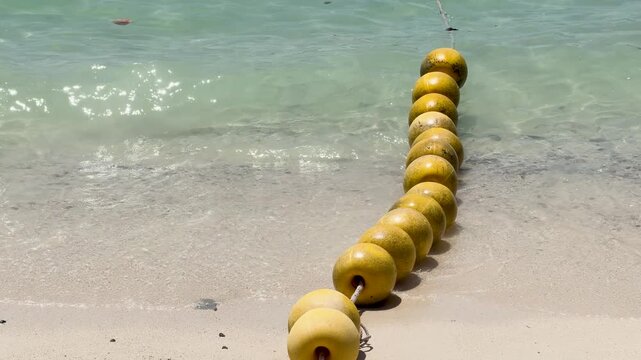 Yellow Marine Buoys Floating on Tropical Beach Shoreline in Thailand