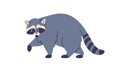 Obraz premium Raccoon walking, side view. Cute racoon, funny forest animal with striped tail, gray fur, looking back, going, paw raised. Wild mammal profile. Flat vector illustration isolated on white background