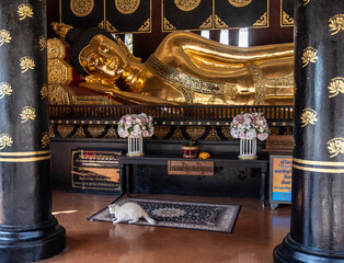 Separate fragments of a decorated Buddhist temple in Thailand on a sunny day