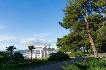 Landscaped embankment with tall Pitsunda pines, palm plants, and white gazebo structure, overlooking scenic of seaside resort of Gelendzhik