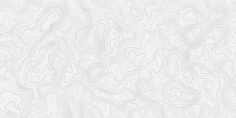 Abstract Landscape Mapping Background with Smooth Paper Cut Terrain
Flowing Contour Wave Pattern with Clean Elevation Texture