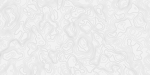 White Relief Landscape Design Featuring Flowing Contour Mapping Minimal Terrain Surface Pattern with Smooth Paper Texture © ALAMA