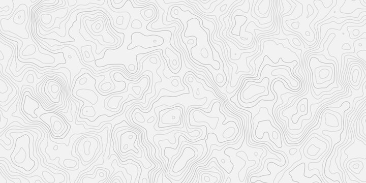 Minimalist Landscape Elevation Pattern with Smooth Curved Topographic Lines
Layered Surface Design with Clean White Terrain Texture