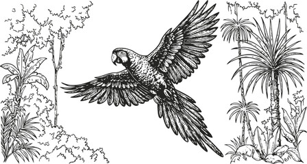 Fototapeta premium Macaw parrot flying in tropical jungle with palm trees and dense lush foliage illustration