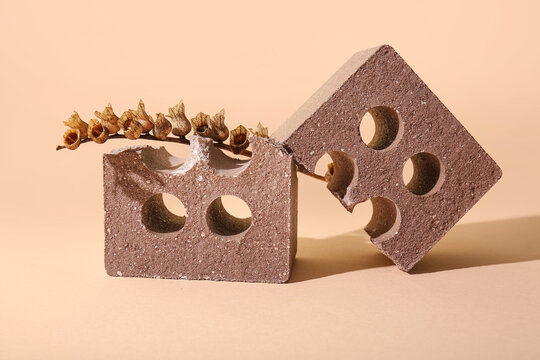 Broken brick with henbane seed pods on beige background