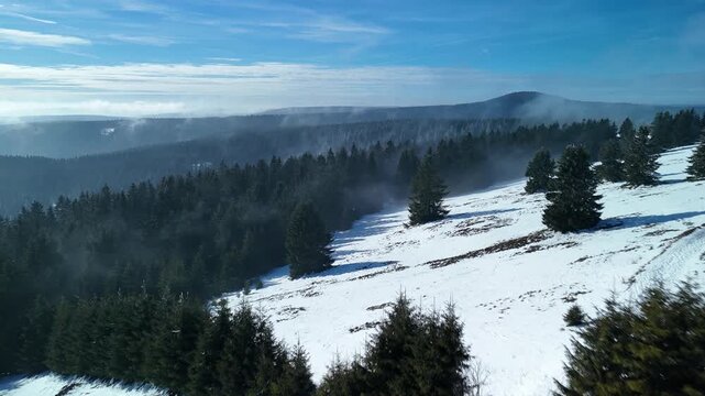 Aerial Landscape of Snowy Winter Forest in Mountain Region, Calm Nature Scene
