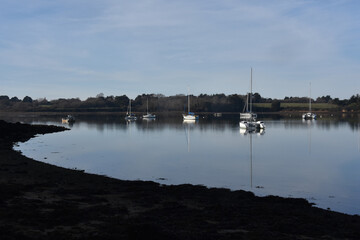 Paysage hivernal golf du Morbihan, Bretagne. France 