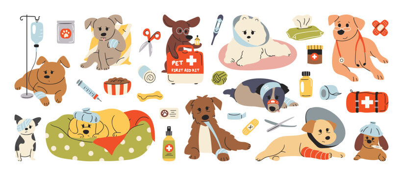 Dog veterinary care vector illustration set with pets, medicine, bandage and clinic tools. Hand drawn cartoon design for pet posters, icons, brochures and pet services.