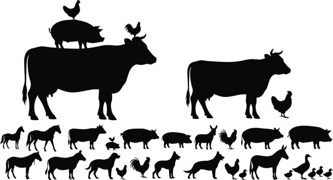 Farm animal silhouettes collection, cow pig chicken horse donkey icons, barnyard figures, livestock decoration, black animal shapes, isolated vector illustration design