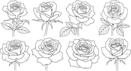 Hand drawn rose flower line art, botanical sketch illustration, romantic floral artwork, wedding invitation design, tattoo reference, Valentine&rsquo;s Day decoration, elegant floral motif