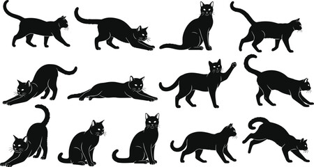 Cat silhouettes in diverse poses, feline vector illustration, decorative pet design, wildlife art motif, domestic animal pattern concept © SABINA