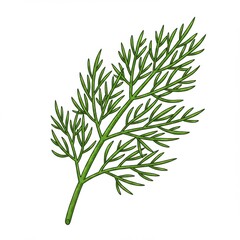 Fototapeta premium Single Dill Sprig with Green Leaves Isolated on White Background Macro View