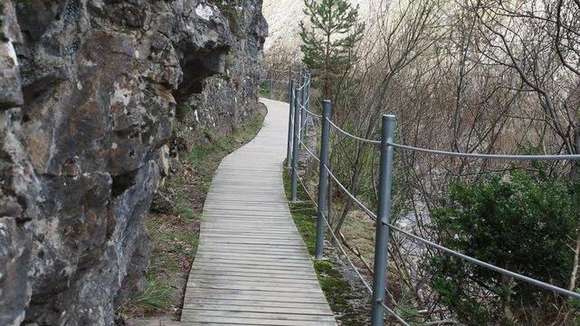 A narrow wooden boardwalk or path winding along a steep rocky cliffside on one side and a forest of bare and evergreen trees on the other, under an overcast sky.