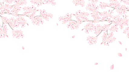 桜フレーム　飾り枠イラスト © HIROMI