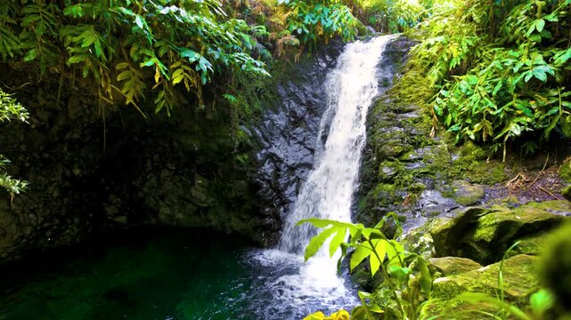 Natural waterfall surrounded by moss and lush plants on S&atilde;o Jorge Island, Azores