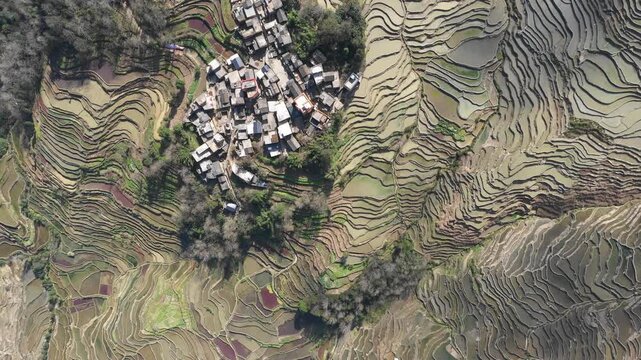 Overhead aerial view of small village set in terraced rice fields in rural China