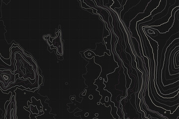 Black and Grey Abstract Topography Map Vector Pattern