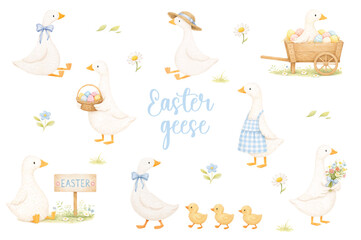 WATERCOLOR EASTER GEESE CLIPART SET WITH FARMHOUSE GOOSE, DUCKLINGS, EGGS AND SPRING FLORAL ELEMENTS © StudioCreaczyk