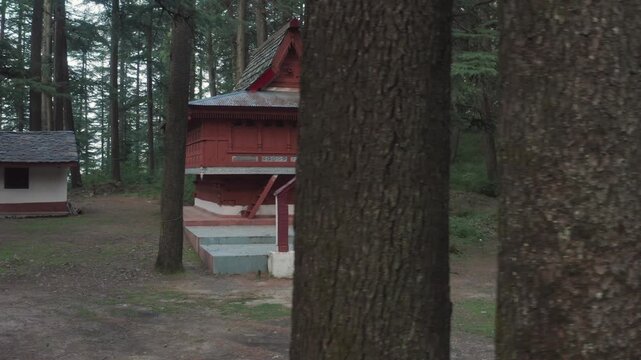 Drone glides past foreground deodar trees revealing red pagoda-style Shivpur Temple nestled among pines, with plaza and white structure in Mashobra dense forest setting.