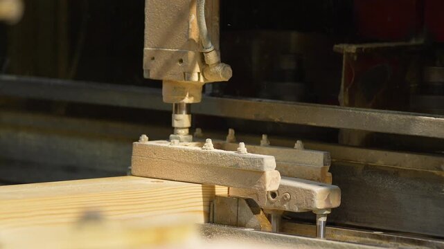 Timber Manipulation