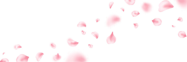 Fototapeta premium Spring cherry blossom frame. Sakura petal flying composition. Japan flower banner. Cosmetic beauty product. Natural decoration. Spa pink rose bg. Valentine romantic card. Vector illustration.