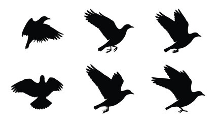 Fototapeta premium Six black silhouettes of birds in flight against a white background isolated on white background, Vector