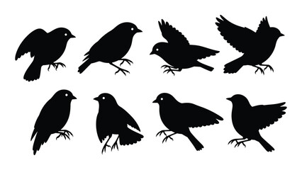 Obraz premium A diverse collection of black silhouettes of birds in various poses and positions. isolated on white background, Vector