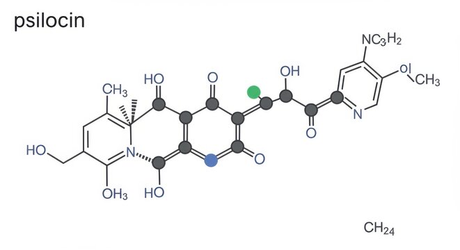 Detailed scientific illustration of the molecular structure of the psychoactive compound psilocin,