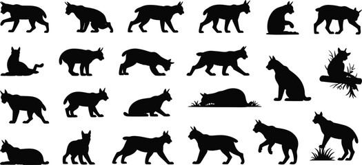 Black cat silhouette set, multiple walking sitting hunting poses, feline animal collection, pet icon shapes isolated on white background © Noman Art