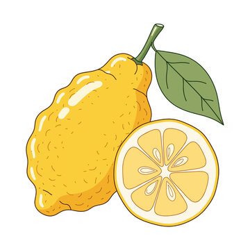 Vibrant yellow citron fruit with green leaf and round slice. Isolated transparent background ( include cut-out PNG file )