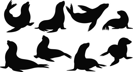 Obraz premium Set of Sea Lion Silhouettes Featuring Various Marine Mammals in Swimming and Lounging Poses Isolated on White Background for Aquatic Wildlife Graphic Design