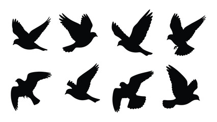 Obraz premium A collection of nine different black silhouettes of birds in flight isolated on white background, Vector