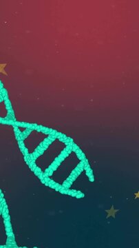 Vertical video: Teal dots emerging into spinning DNA helix for visuals, gold stars popping by tip