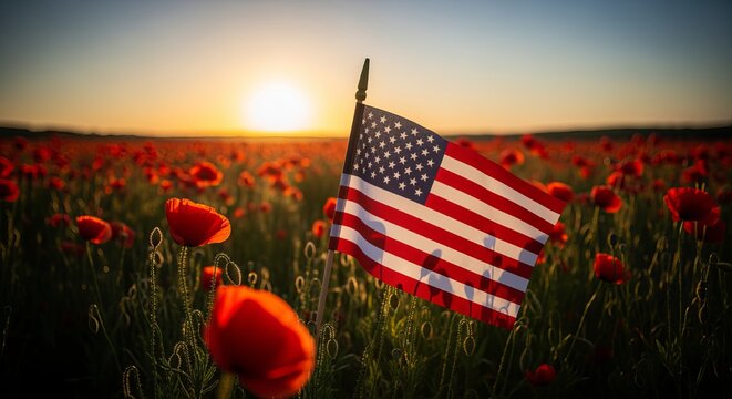 Breathtaking Sunset Over Vibrant Poppy Field with American Flag Displayed in Patriotic Tribute